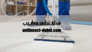 شركة تنظيف سجاد دبي