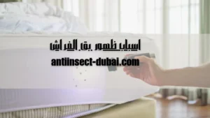 اسباب ظهور بق الفراش