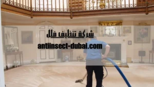 شركة تنظيف فلل