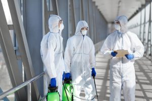 رش حشرات دبي