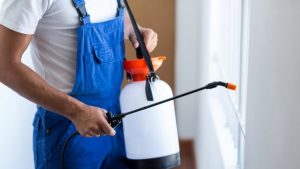 شركة مكافحة حشرات تلال