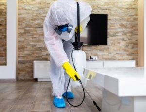 شركة رش مبيدات الشارقة