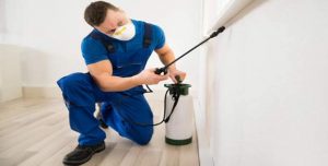 شركة مكافحة حشرات أم سقيم