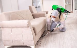 شركة مكافحة العثة الكرامة