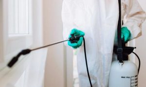 شركة مكافحة العثة الممزر دبي