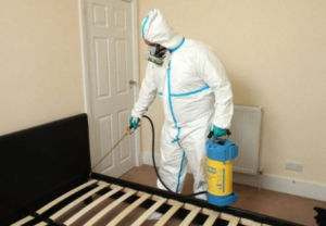 شركة مكافحة بق الفراش ند الشبا ند دبي