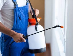 شركة مبيدات الشارقة