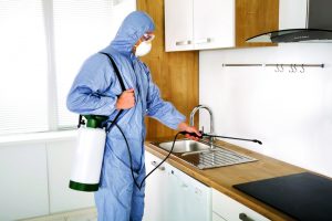 شركة مكافحة حشرات الشارقة