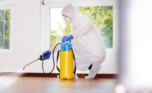 شركة مكافحة حشرات بالبرشاء