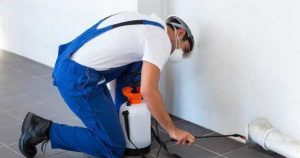 شركة مبيدات حشرية في ام القيوين