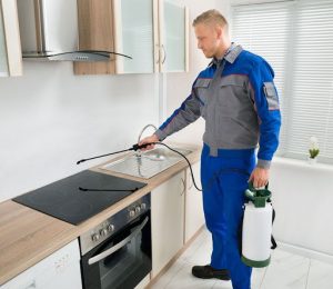 شركة مبيدات حشرية الشارقة