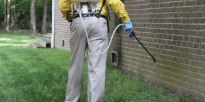 شركة مبيدات حشرية في كلباء