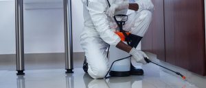 شركة رش مبيدات خورفكان