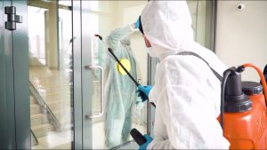 شركة تعقيم كلباء