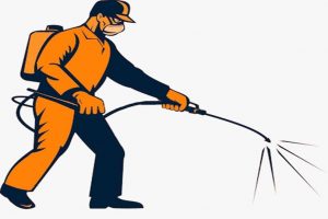 رش مبيدات حشرية