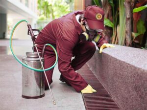 شركات بخ الحشرات