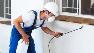 شركة مكافحة الرمة