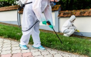 رش مبيدات حشرية بدبي