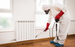 شركة مكافحة حشرات في العين