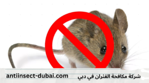 شركة مكافحة الفئران في دبي