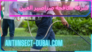 شركه مكافحه صراصير العين