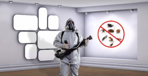 شركه مكافحه حشرات في الشارقه