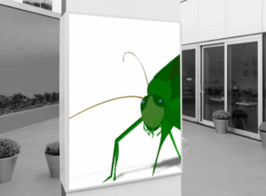 خدمة مكافحة الحشرات