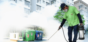 شركات مكافحة صراصير العين