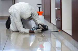 رقم شركة تنظيف الحشرات