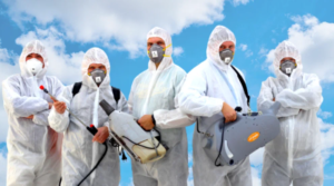 شركة مكافحة الصراصير عجمان