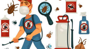 مكافحة الحشرات والقوارض