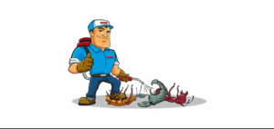 شركة بخ حشرات