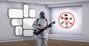 افضل شركات رش حشرات في دبي