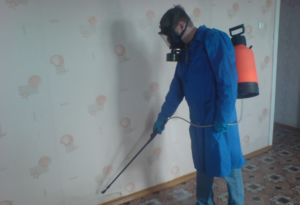 أفضل شركة مكافحة حشرات دبي