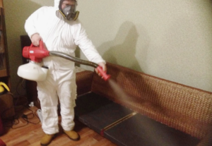 شركة مكافحة البق في دبي