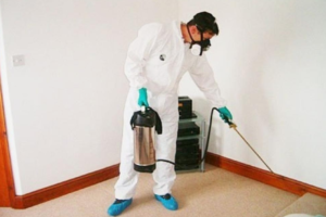 شركة مكافحة بق الفراش في دبي