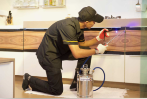 رش البيت من الحشرات في دبي