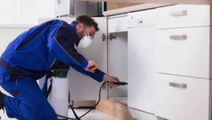 مكافحة الحشرات في المنزل