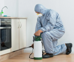 شركات رش مبيدات بعجمان