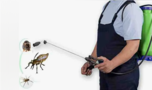 شركة مكافحة الصراصير في ابوظبي