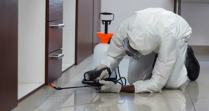 افضل شركات رش حشرات بعجمان