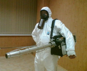 شركة مكافحة حشرات عجمان