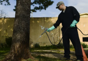 محلات بيع مواد مكافحة الحشرات عجمان