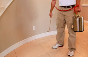 افضل شركة مكافحة الفئران في دبي