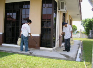 شركة رش حشرات بدبي