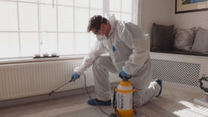 شركات رش مبيدات في ابو ظبي