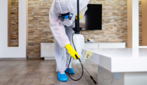 مكافحة حشرات فى دبى