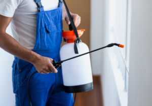 شركات حشرات بالشارقة