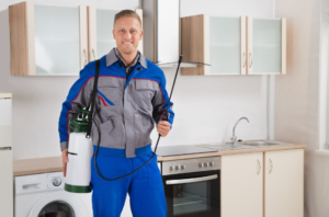 شركات حشرات في الشارقة