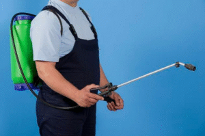 شركة مكافحة الحشرات براس الخيمة